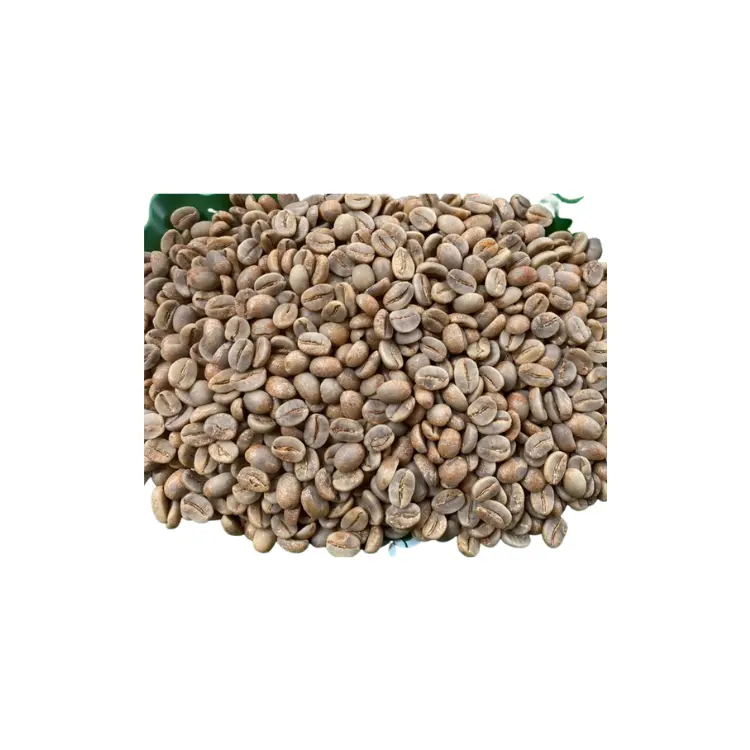 Vietnam Arabica Coffee Grade 1 Raw Coffee Beans Best Choice Natural Using For Making Food And Beverage No Additives 4