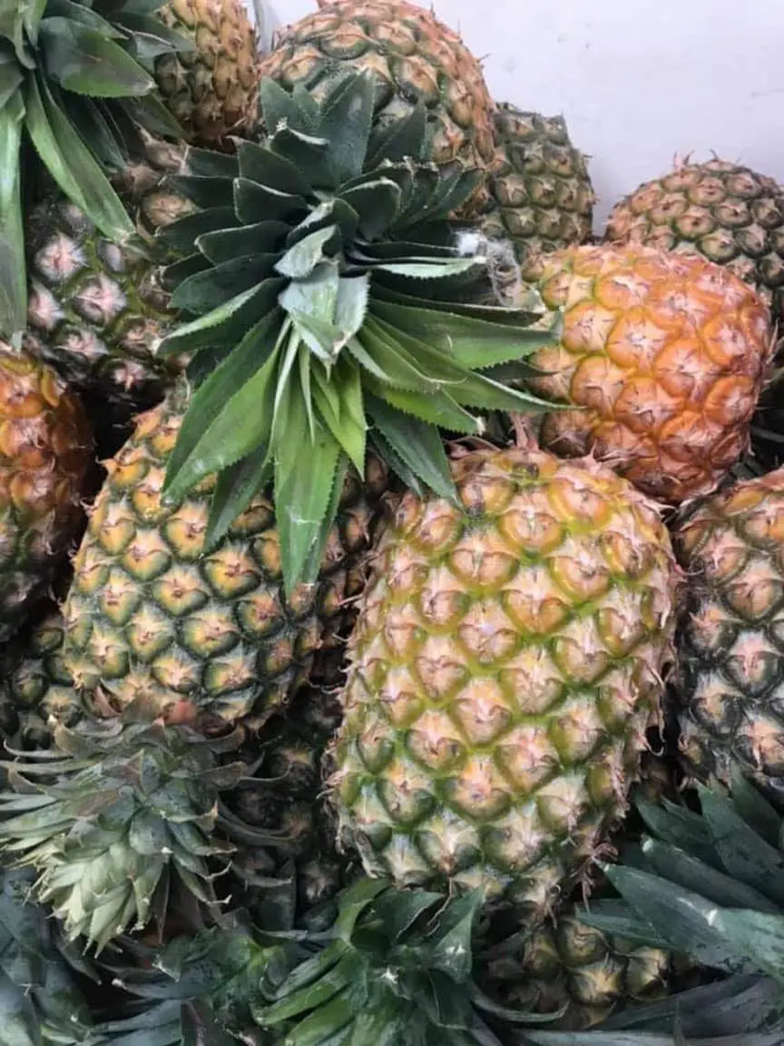 Fruit & Vegetable Products Dried Pineapple High Quality Super Fresh Follow the Customer's Request from Vietnam Manufacturer 3