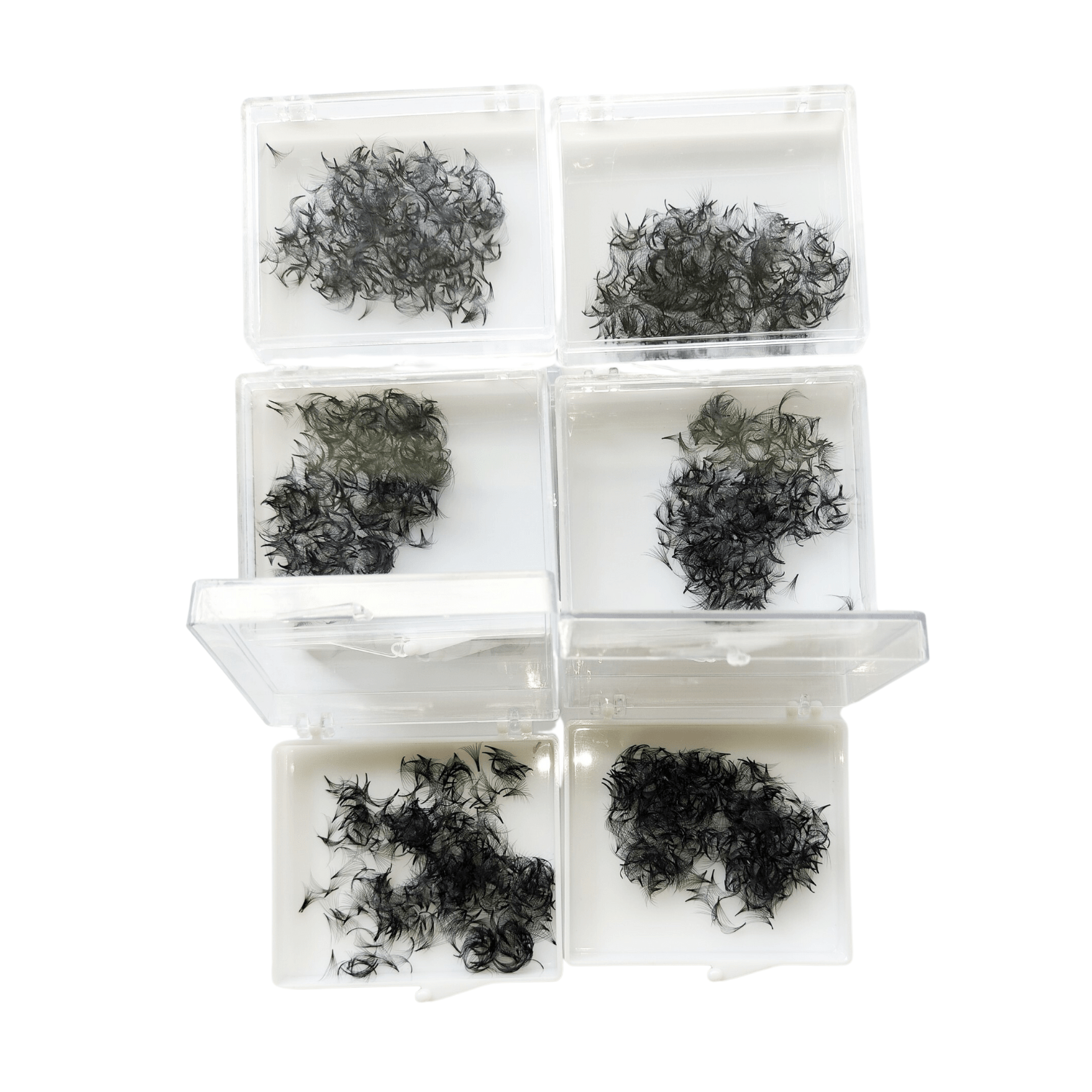 3D Premade Eyelash Eyelash Extension Professional Black Custom From Viet Nam Manufacturer Ready To Export 2023 4