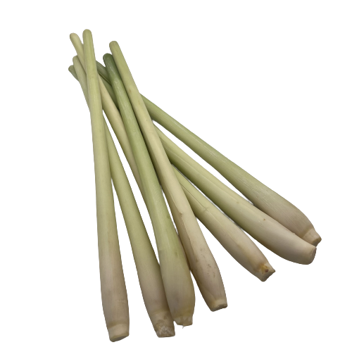 Lemongrass High Quality with HACCP Certificate Free Tax - Spices and Herbs Lemon Grass Best Price From VietNam 2