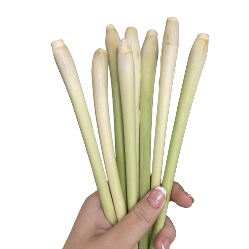 Lemongrass High Quality with HACCP Certificate Free Tax - Spices and Herbs Lemon Grass Best Price From VietNam 6