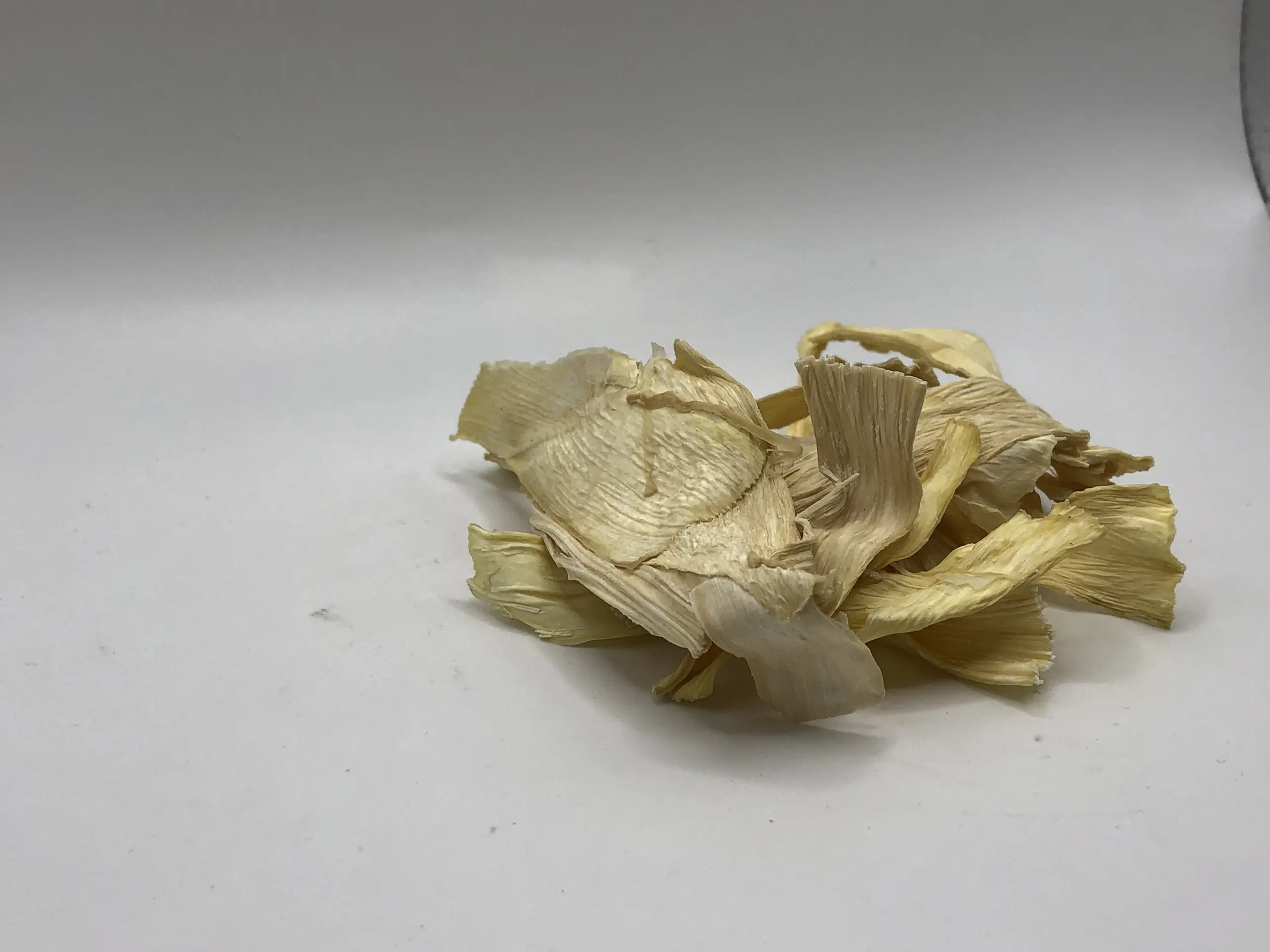 High Quality Competitive Price Dried COCONUT Tubers Premium WHITE SWEET Style Organic From Vietnam Manufacturer 1