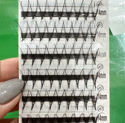 TD Lashes - Ultra Speed Promade Phoenix 7D volume eyelash extension extension eyelash extension natural longlash trays wholesale 6