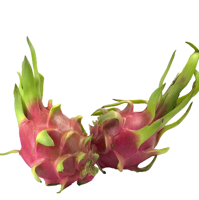 Rich Fiber Fresh White Dragon Fruit Sweet Export Bulksales Using For Food Carton Box Wooden Packaging Vietnam Manufacturer 3