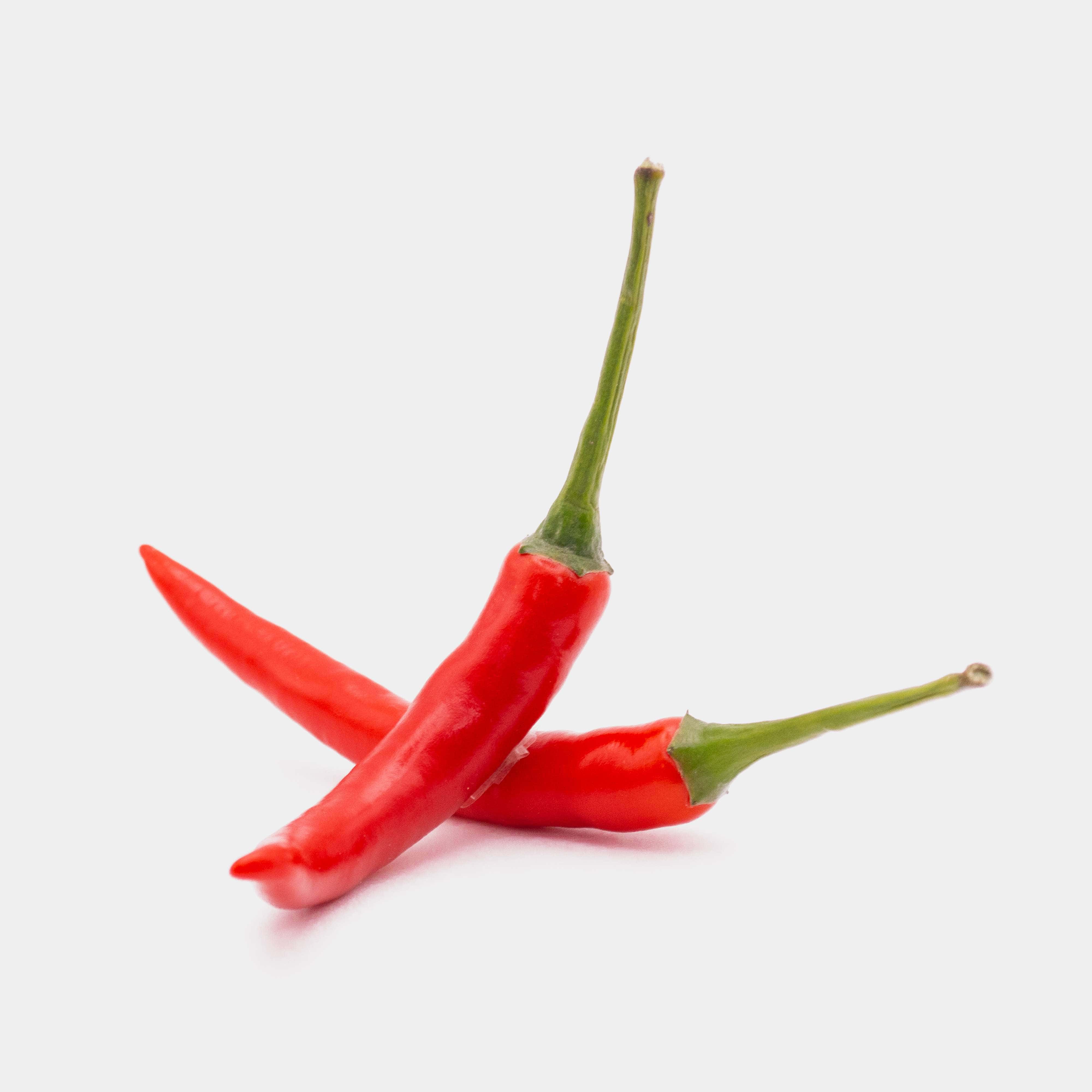 Fresh Chili Non Toxic Premium Organics High Grade Fresh Chilli Agriculture Style Packing Herbs Weight Form Vietnam Manufacturer 8