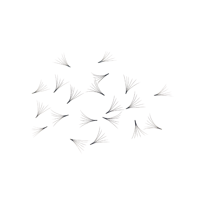 6D Volume Fans 1000 fans High Quality Professional Pre Made Fan Eyelashes From Vietnam Best Supplier   2
