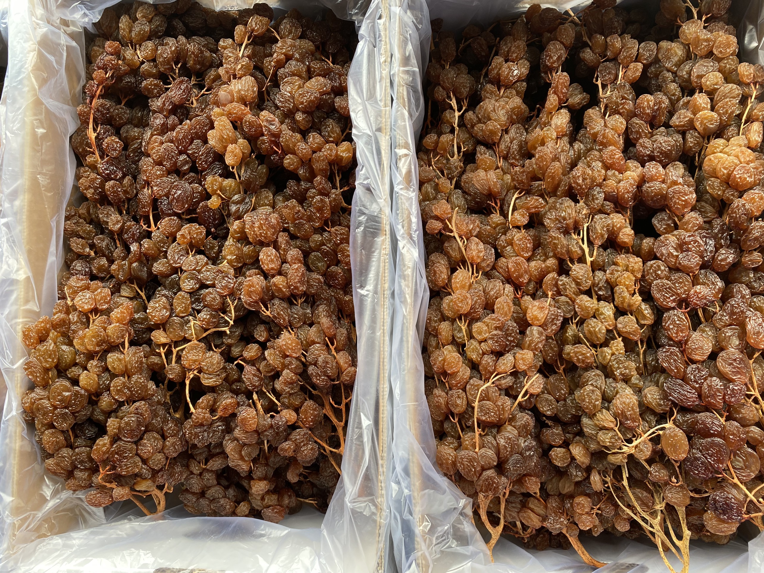 High Quality Dried Grapes OEM ODM Service Raisin Raisin Grape Raisin Drying Manufacturer From Australian Packaging In Vietnam 3