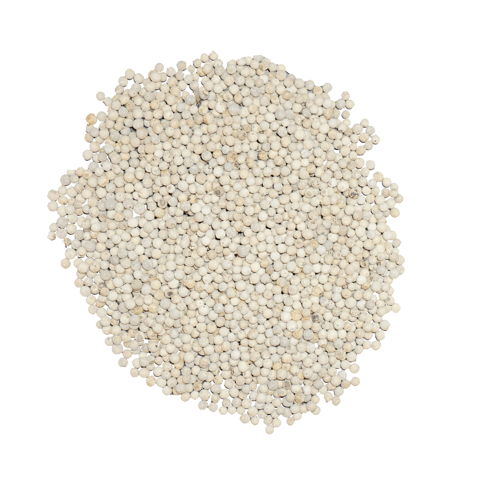 Spicy Hot Spice White Pepper Best Selling Marinated Meat Fast Delivery Export Customized Packing From Vietnam Manufacturer 5