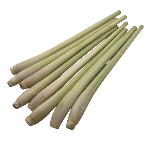 Lemongrass High Quality with HACCP Certificate Free Tax - Spices and Herbs Lemon Grass Best Price From VietNam 4