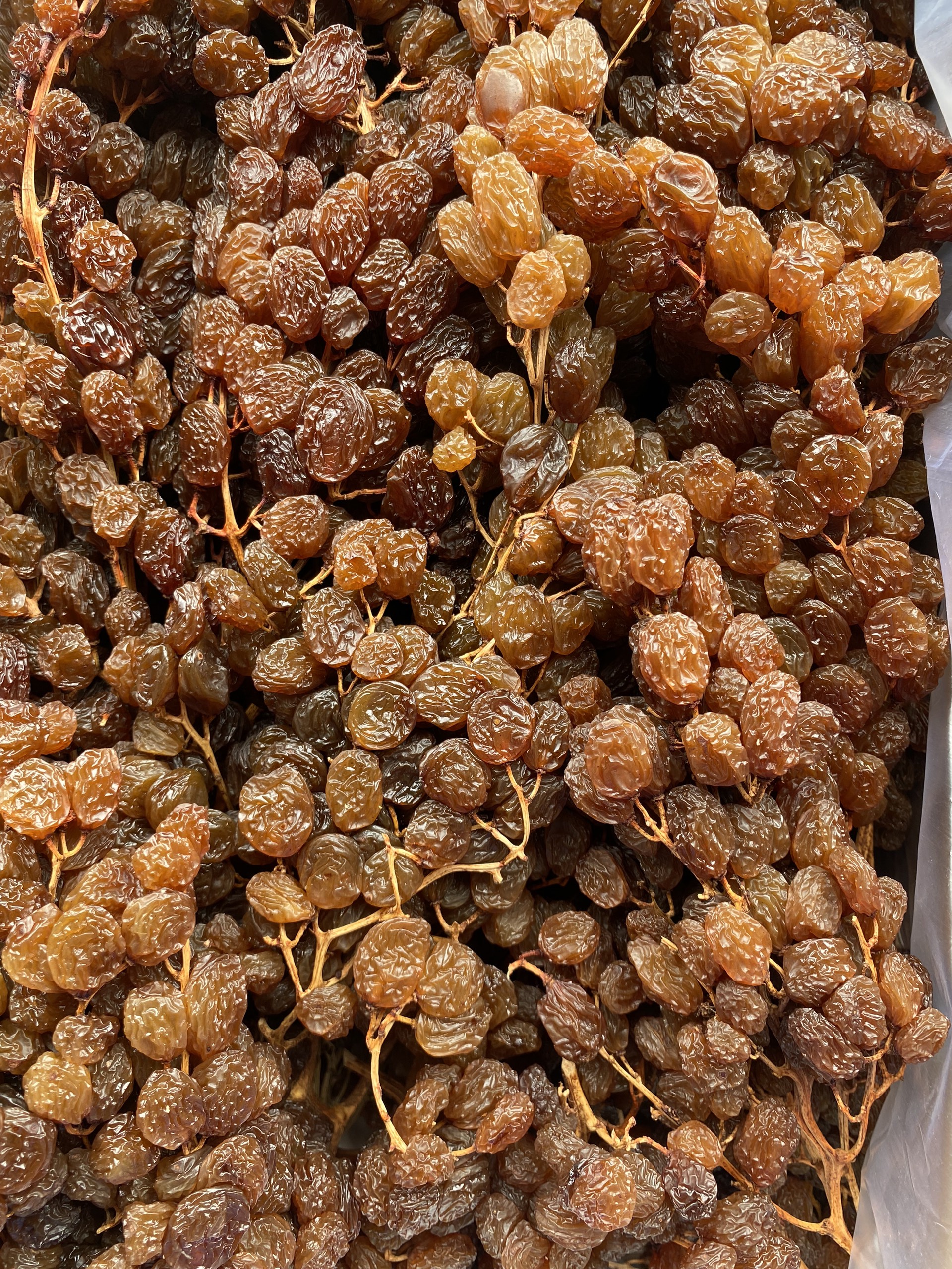 High Quality Dried Grapes OEM ODM Service Raisin Raisin Grape Raisin Drying Manufacturer From Australian Packaging In Vietnam 4