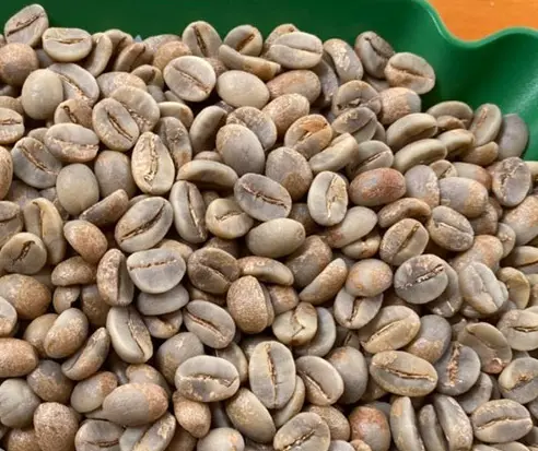 Vietnam Arabica Coffee Grade 1 Raw Coffee Beans Best Choice Natural Using For Making Food And Beverage No Additives 6