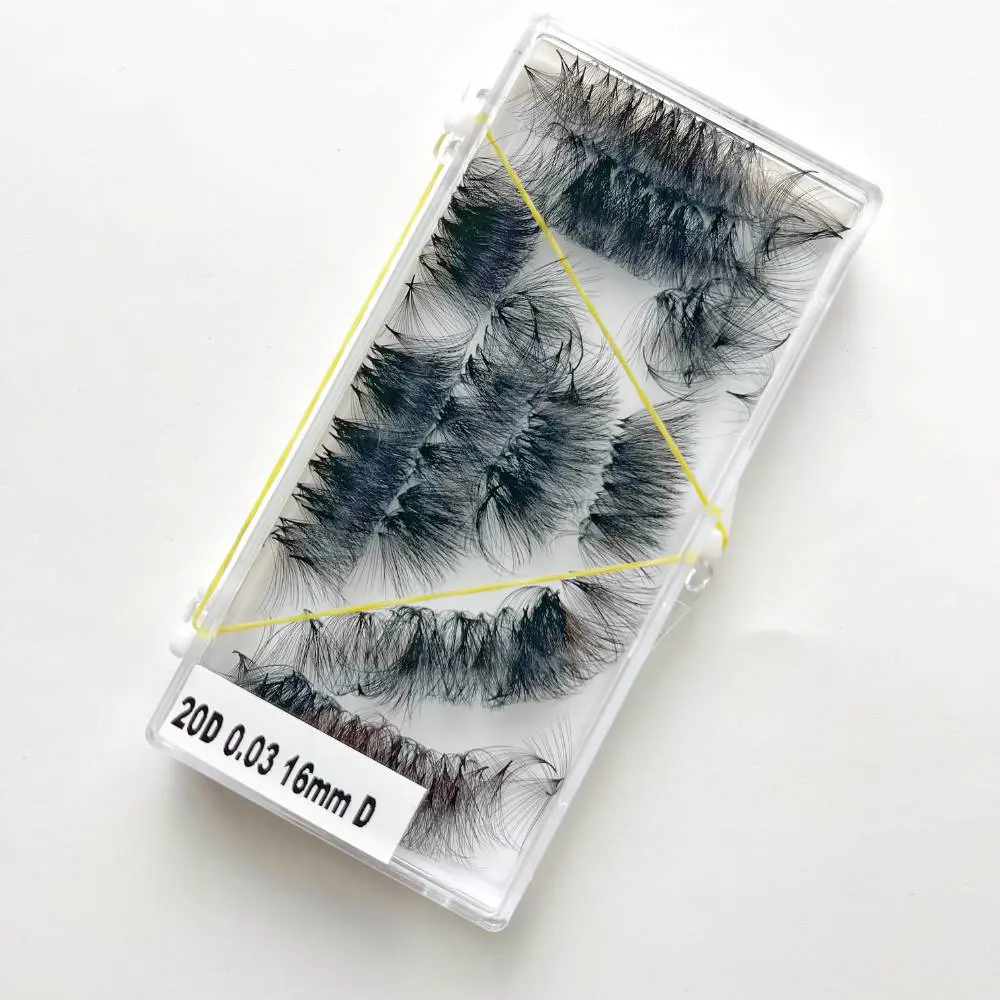 2023 New Arrivals Loose Lashes 4D-0.07-C-12mm-1000fan Best Premade Fans Eyelash Volume OEM/ODM Supported Korean PBT 1