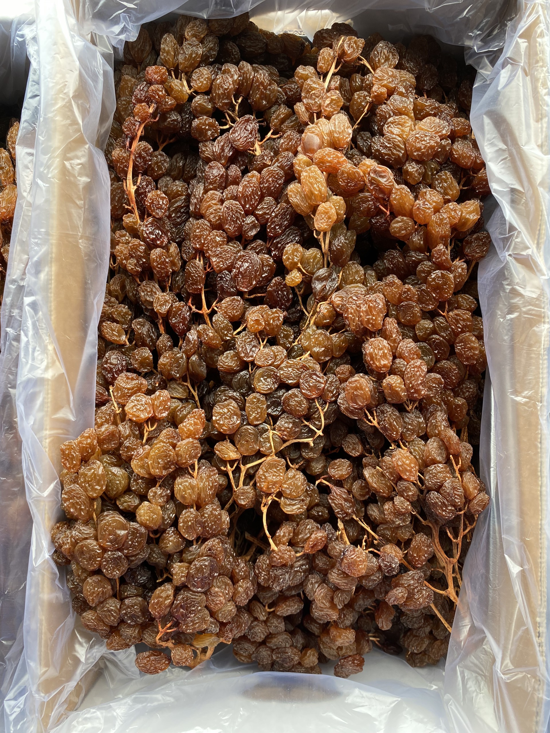 High Quality Dried Grapes OEM ODM Service Raisin Raisin Grape Raisin Drying Manufacturer From Australian Packaging In Vietnam 6