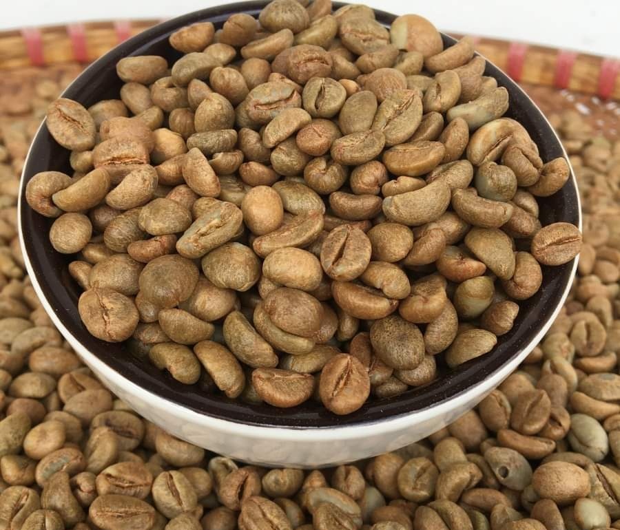Size 18 Robusta Honey Green Bean Top Grade Coffee Beans Manufacturing Premium Grade 60Kg COMMON Cultivation From Vietnam Manufacturer 1