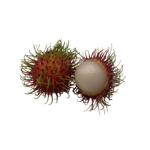 Whole Rambutan For Export Us 100% Organic Fast Delivery Viet Tropical Fruit Carton Box Made In Vietnam Manufacturer 1