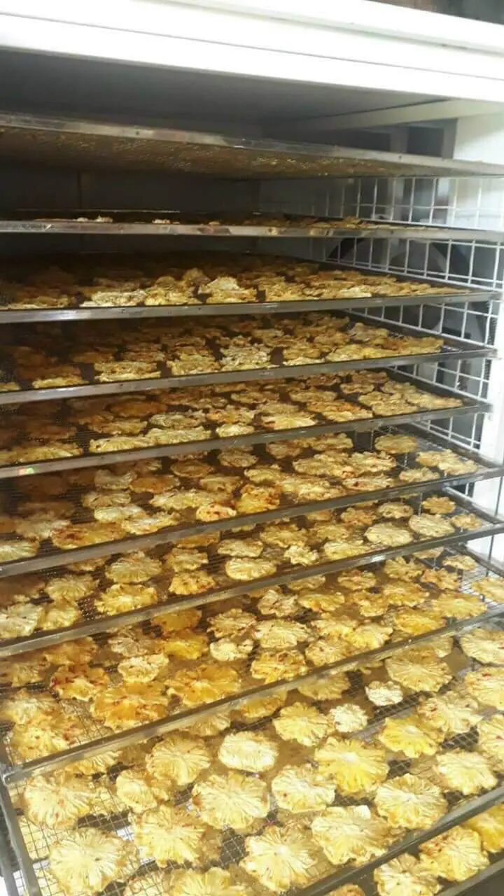 Fruit & Vegetable Products Dried Pineapple High Quality Super Fresh Follow the Customer's Request from Vietnam Manufacturer 6