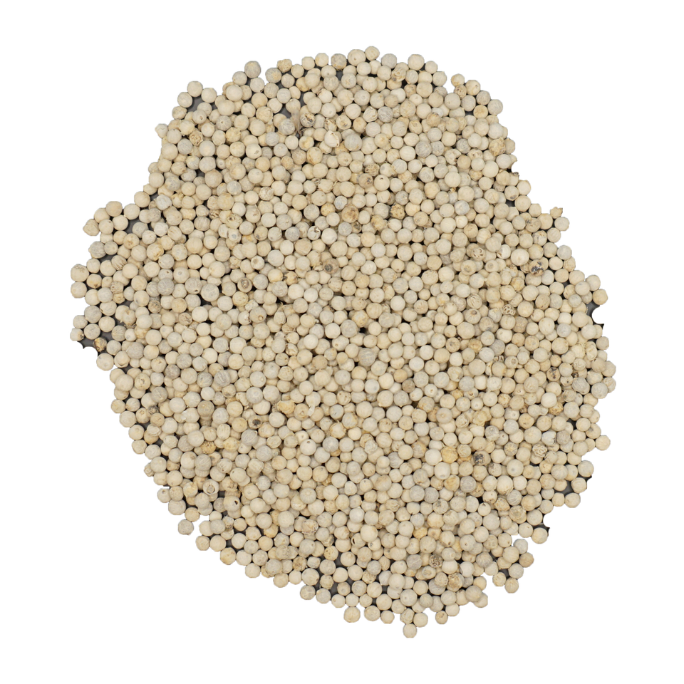 Raw Dried White Pepper Vietnam Best Selling Food Fast Delivery Export Customized Packing From Vietnam Manufacturer 6