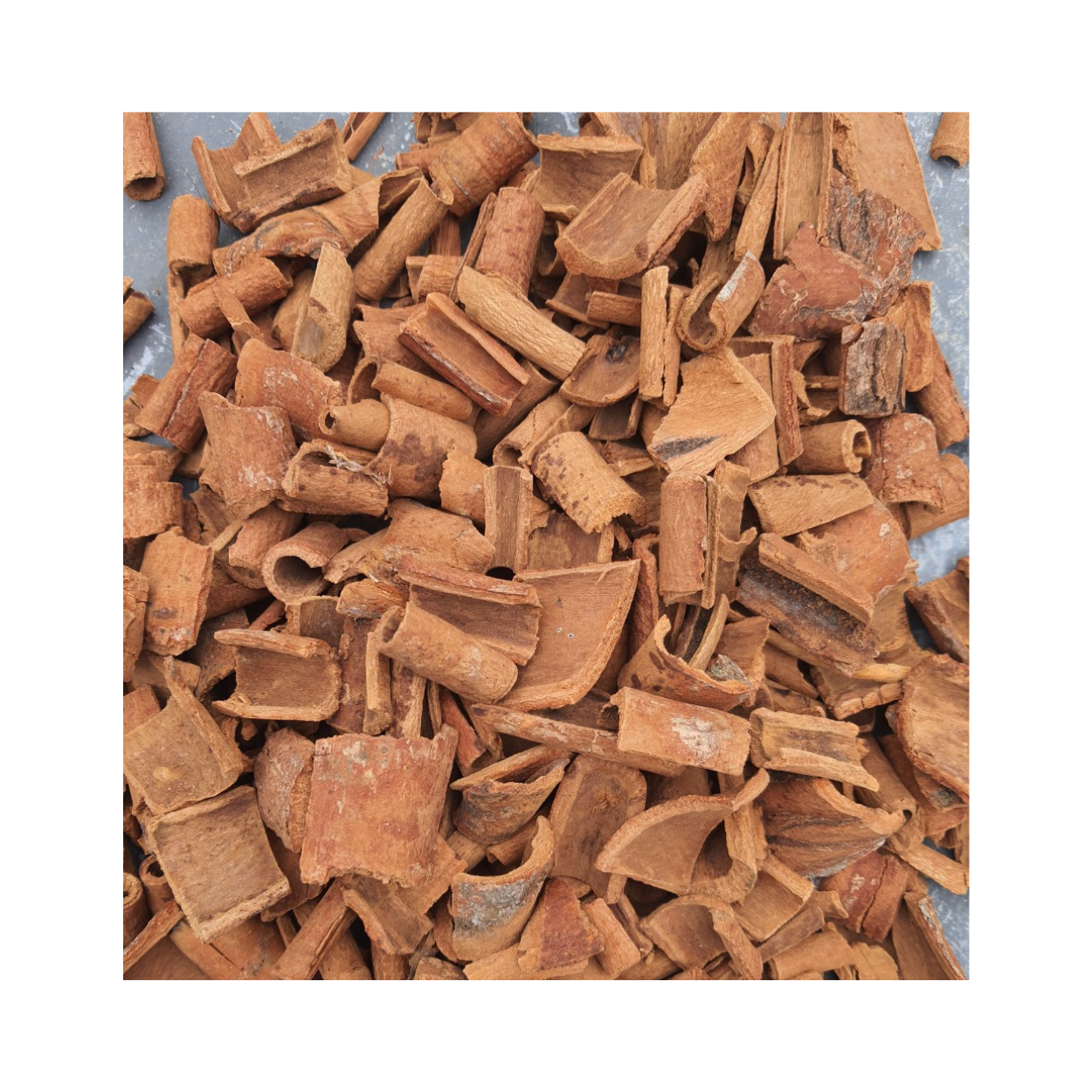 Hot Selling Odm Service International Standard Natural Organic Hot Premium Grade Broken Cassia Split Roll Herbs Made In Vietnam 2