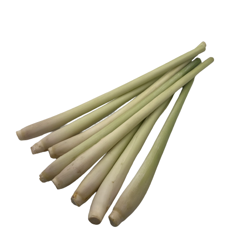 Lemongrass High Quality with HACCP Certificate Free Tax - Spices and Herbs Lemon Grass Best Price From VietNam 3