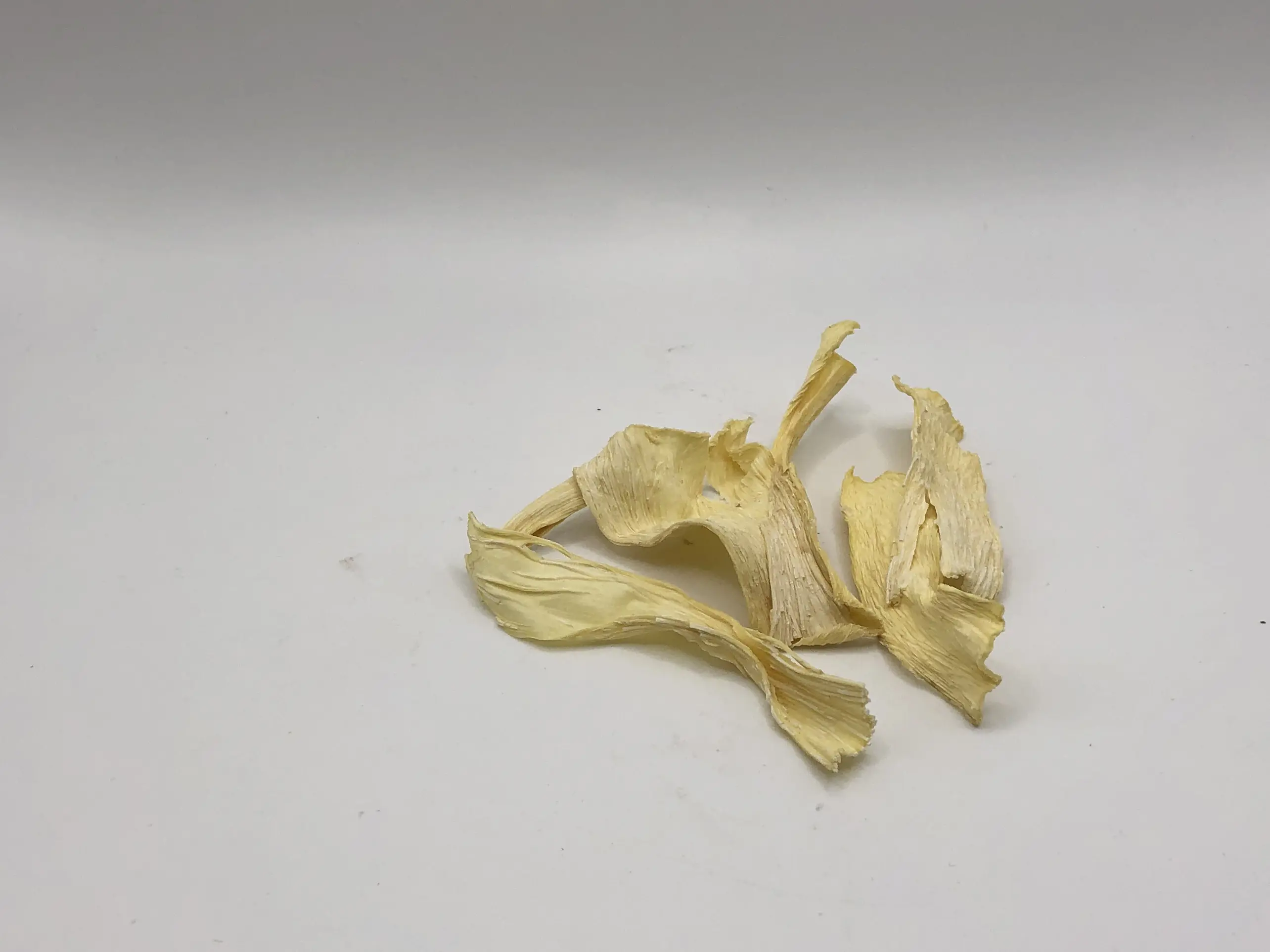 High Quality Competitive Price Dried COCONUT Tubers Premium WHITE SWEET Style Organic From Vietnam Manufacturer 3