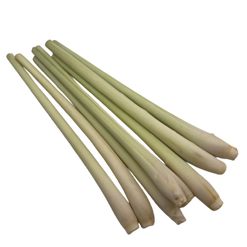 Lemongrass High Quality with HACCP Certificate Free Tax - Spices and Herbs Lemon Grass Best Price From VietNam 5