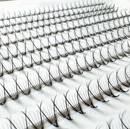TD Lashes - Ultra Speed Promade Phoenix 7D volume eyelash extension extension eyelash extension natural longlash trays wholesale 4