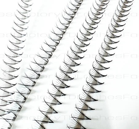 TD Lashes - Ultra Speed Promade Phoenix 7D volume eyelash extension extension eyelash extension natural longlash trays wholesale 1