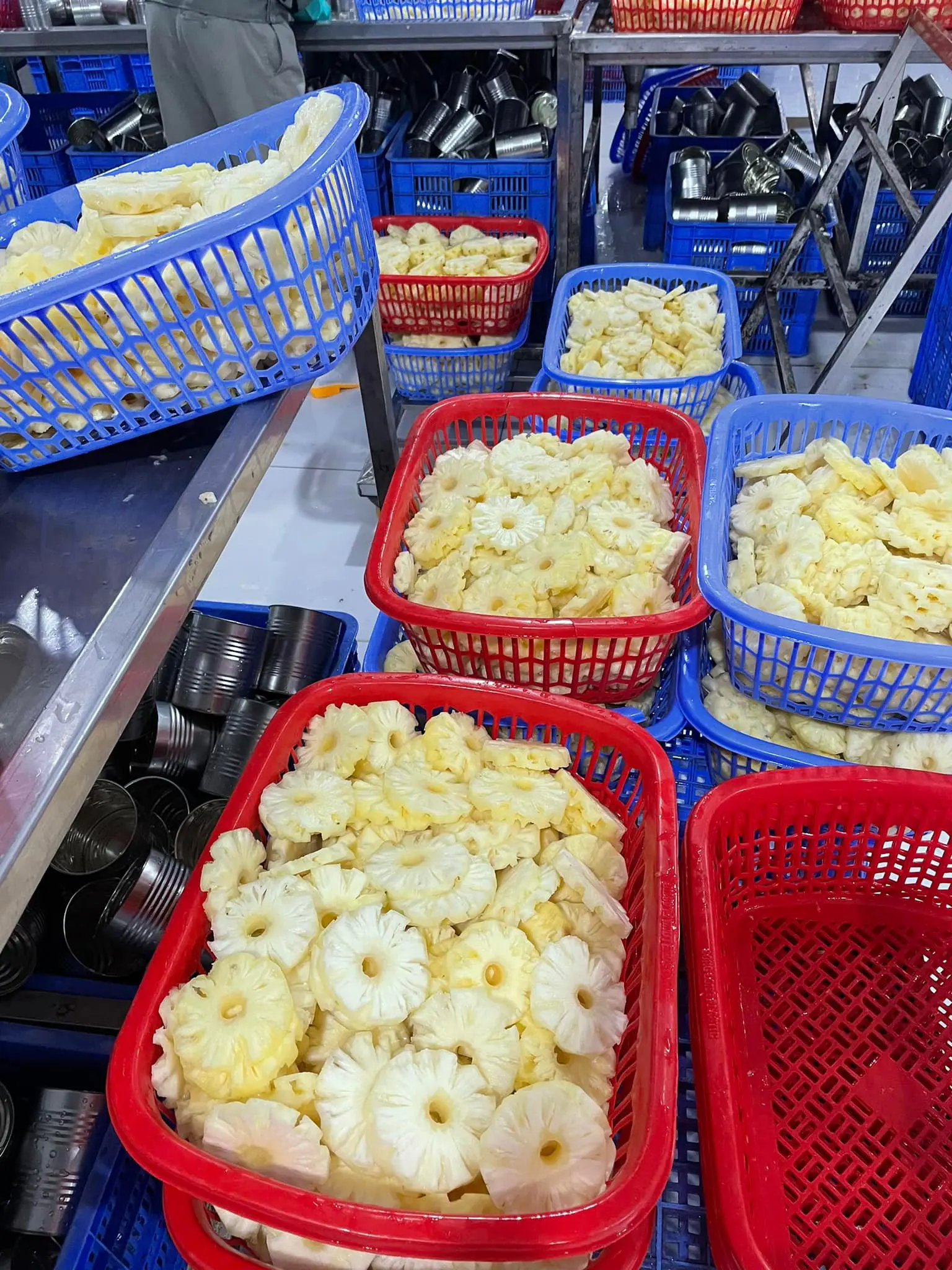 Fruit & Vegetable Products Dried Pineapple High Quality Super Fresh Follow the Customer's Request from Vietnam Manufacturer 8