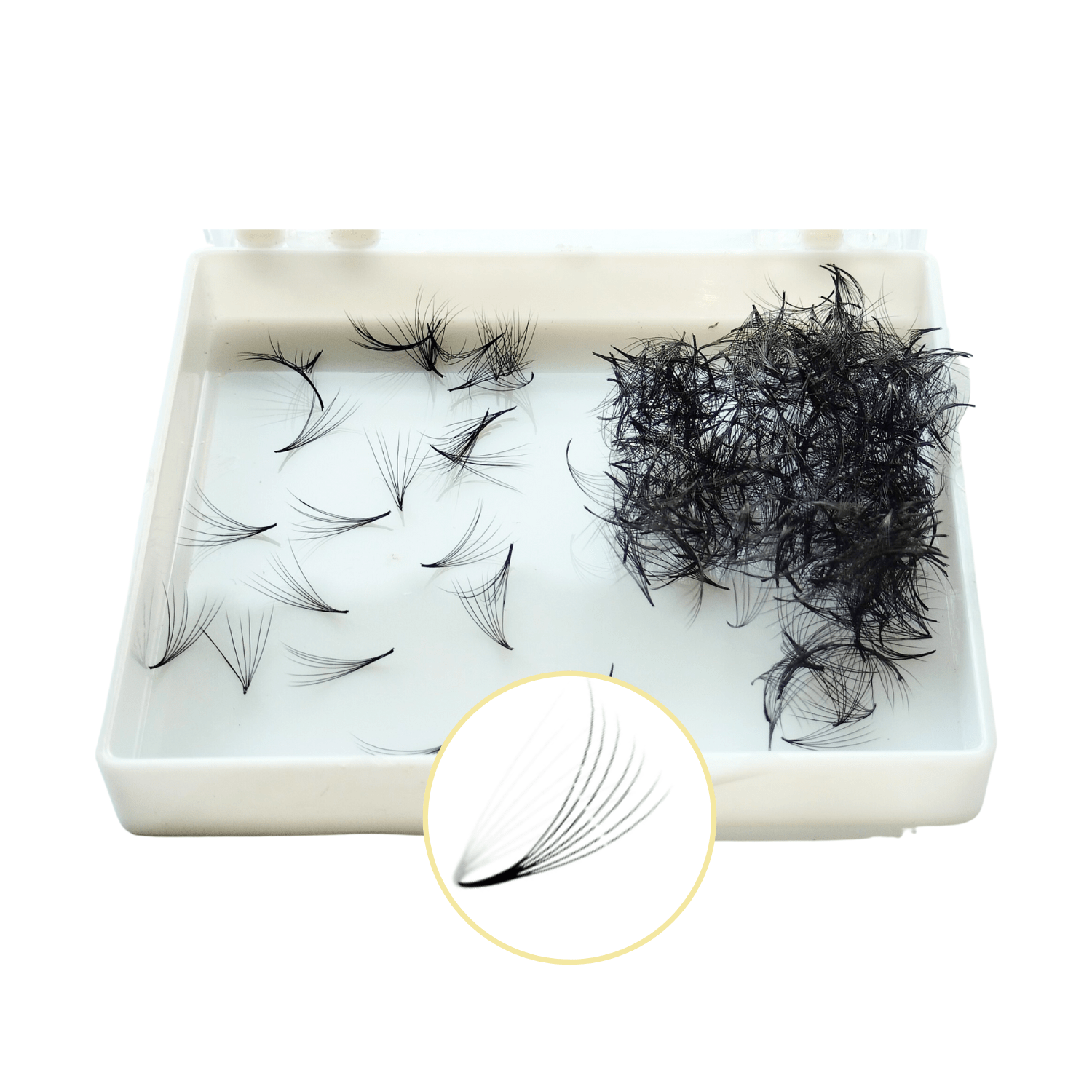 Eyelash Extension Top Choice 3D Premade Fan Eyelash Individual Eyelashes Tray Lash Extensions Using For Beauty Vietnam 2