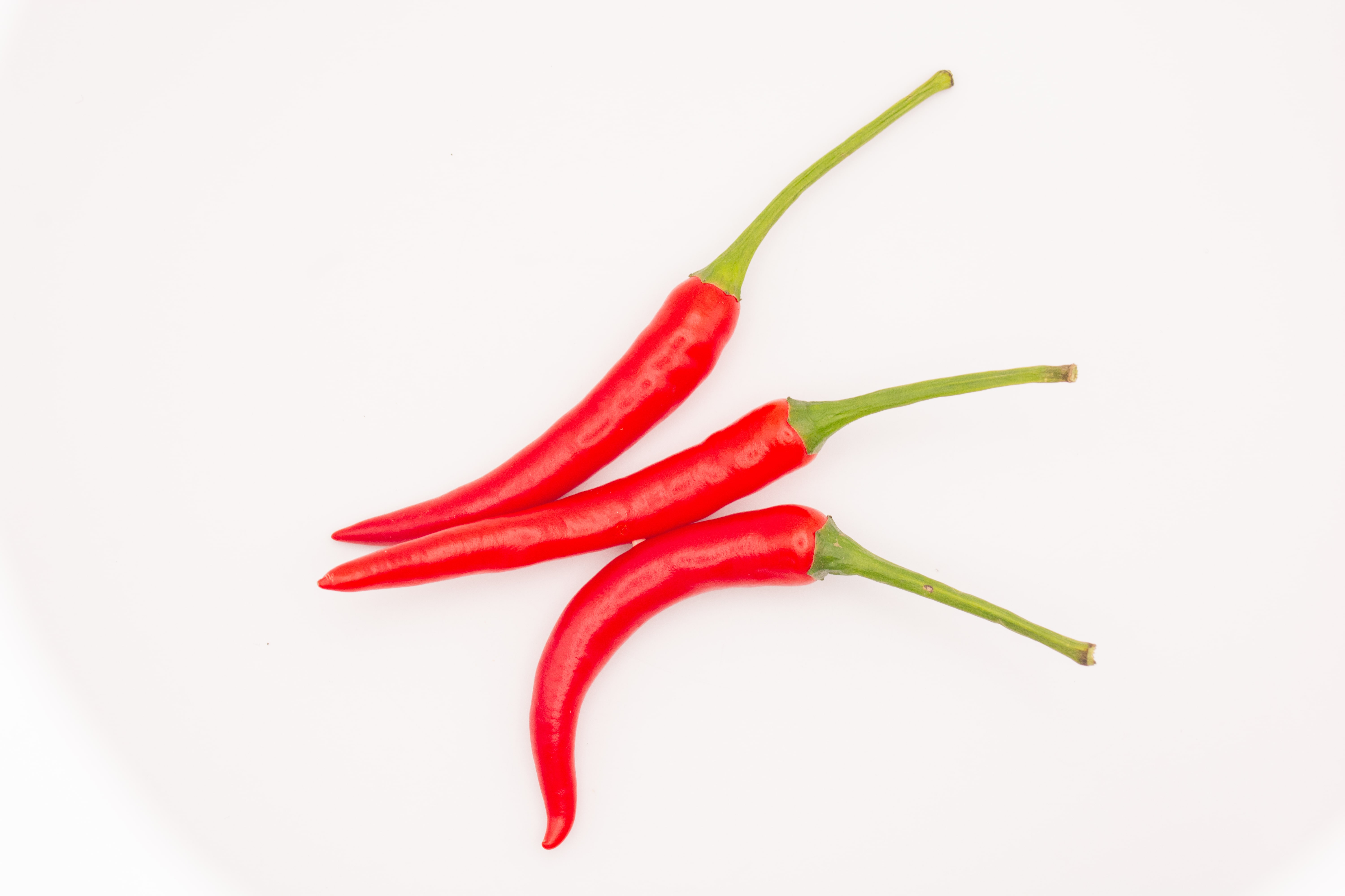 Fresh Chili Non Toxic Premium Organics High Grade Fresh Chilli Agriculture Style Packing Herbs Weight Form Vietnam Manufacturer 4