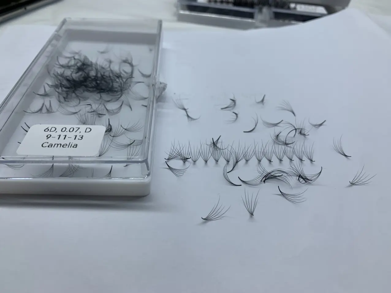 Fast Delivery Camellia loose line fans eyelashes Good choice No Irritation using for beauty pack in tray or box from Vietnam Manufacturer 4