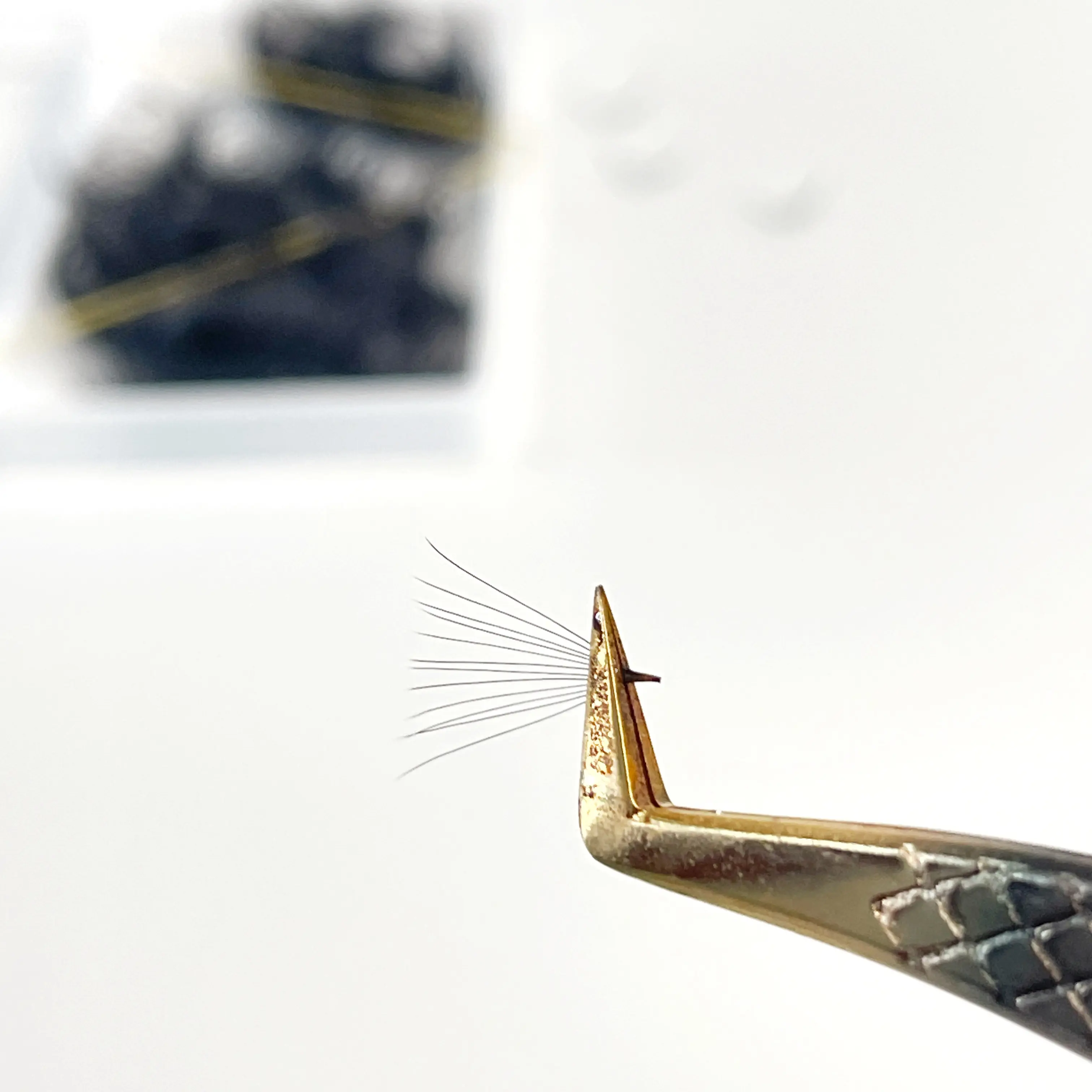 Best Choice 14D Eyelash Extension Branding Customization Eyelash Extension Supplies Ultra Narrow Lashes 2D - 20D from Vietnam 2