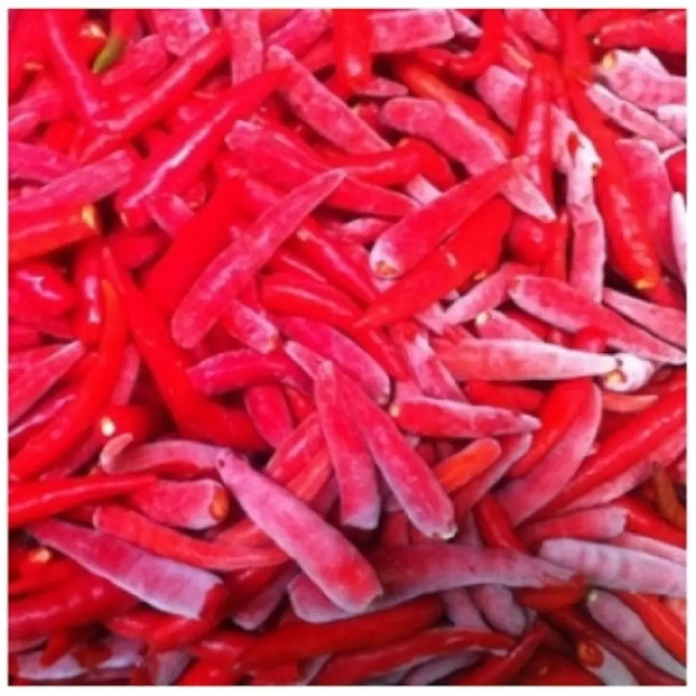 Best Sell Vietnam Manufacturer Frozen Hot Red Chili Peppers Single Spice Herb in Stock 1