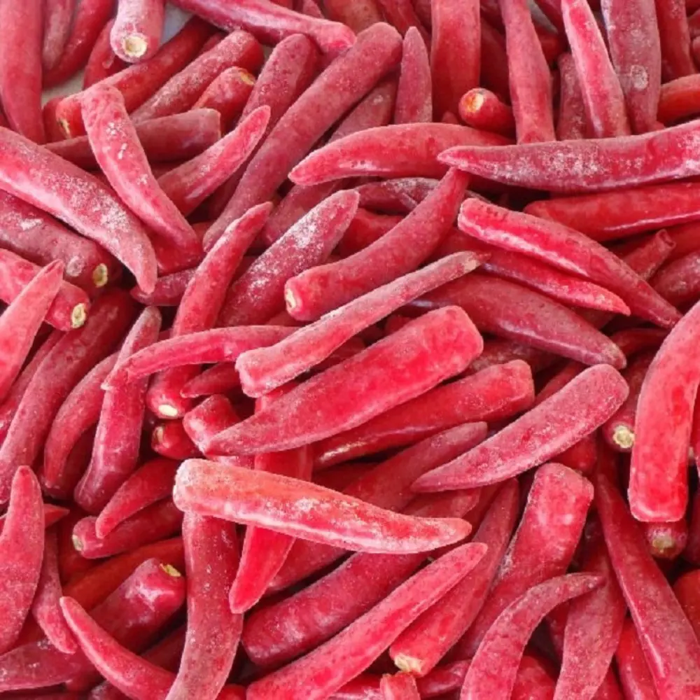 Best Sell Vietnam Manufacturer Frozen Hot Red Chili Peppers Single Spice Herb in Stock 2