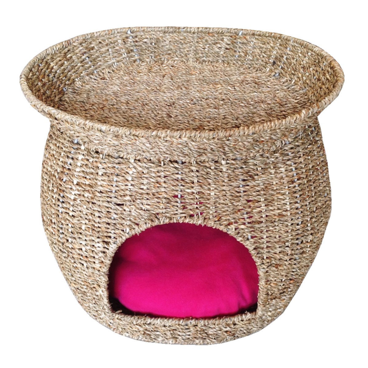 Indoor Pet House Competitive Price Oem Odm Water Hyacinth Each One In Poly Bag Vietnam Manufacturer Customization 3
