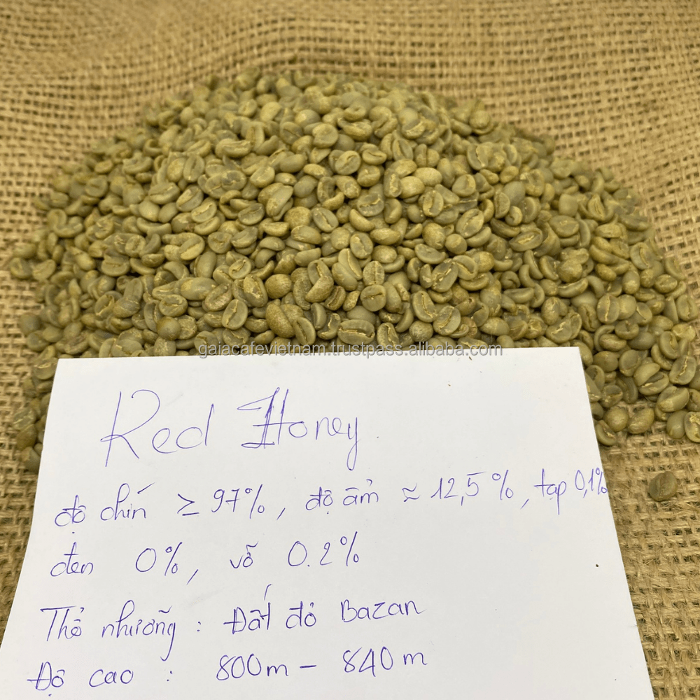 Green Robusta Coffee Beans Vietnamese Premium Quality Fine Robusta in Natural Process, S16, Single Origin Buon Me Thuot 7