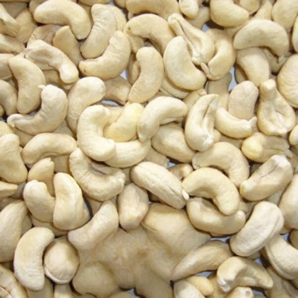 Cashew Nuts SW, LP, SW, DW, SP from Vietnam - Nutrient-Rich, Delicious Kernels Perfect for Snacking, Cooking, and Healthy Diets 2