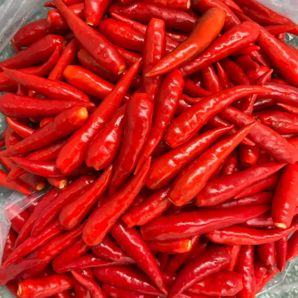 Cheap Price Vietnam Manufacturer Frozen Hot Red Chili Peppers Single Spice Herb in Stock 2