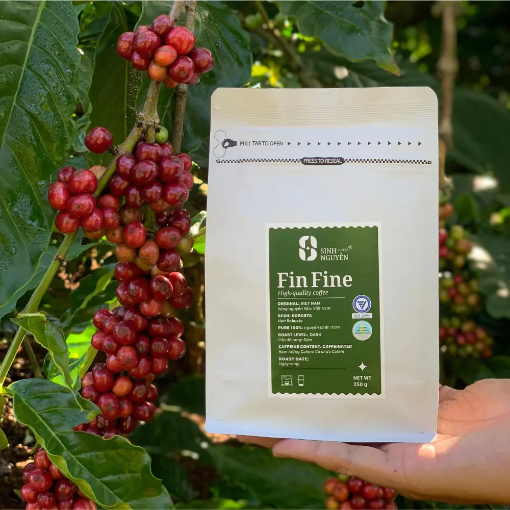 Coffee Beans Ground For Wholesale Good Price Fast Delivery Filter Coffee Caffeinated OEM ODM Services Vietnam Manufacturer 6