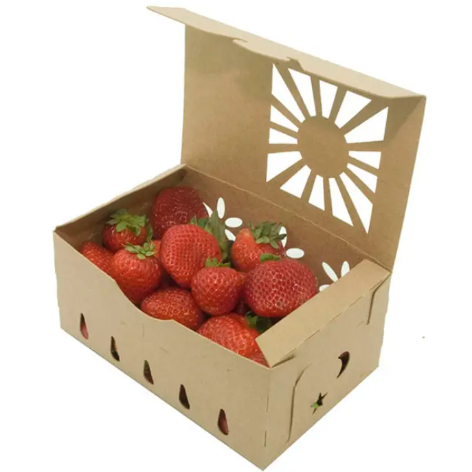 Compostable Kraft Paper Box with Window Breathable Cardboard Packaging for Fresh Fruit & Vegetables Eco Friendly and Sustainable 3
