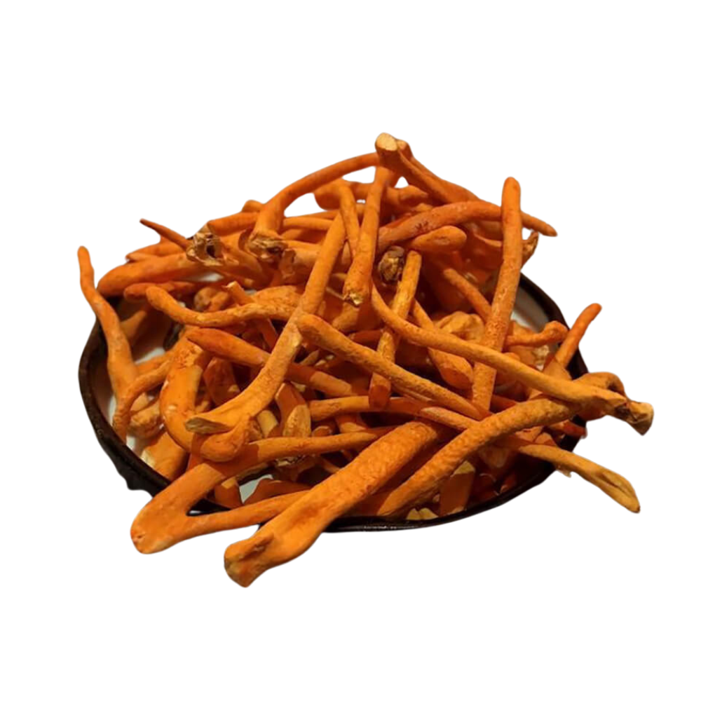 Dried Cordyceps Tonic Boosts Health Immunity And Endurance For The Elderly Wholesale Manufacturer From Vietnam 4