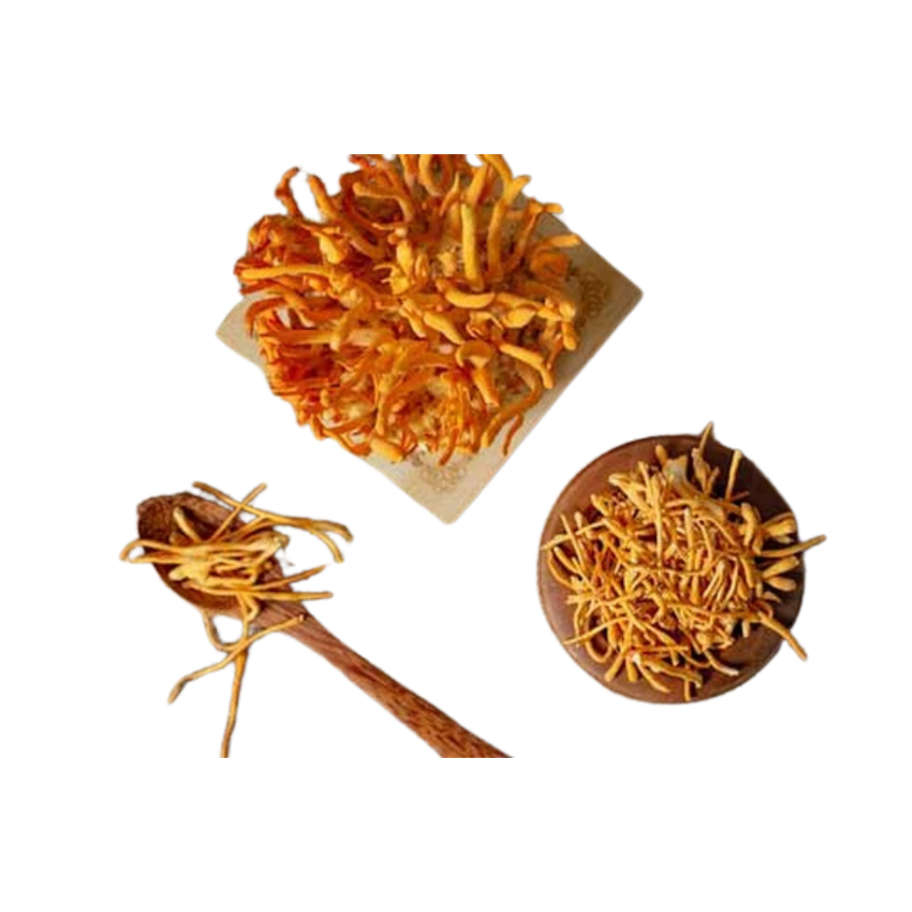 Dried Cordyceps Tonic Boosts Health Immunity And Endurance For The Elderly Wholesale Manufacturer From Vietnam 5