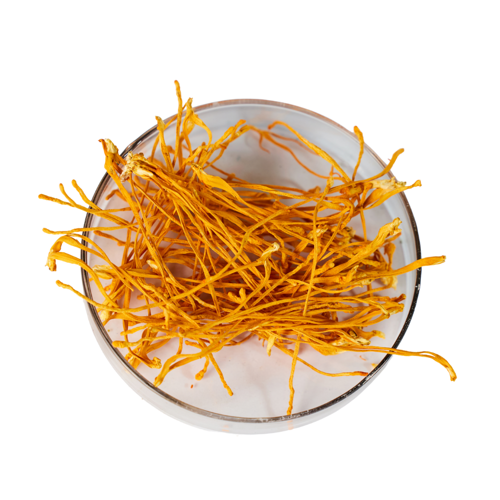 Dried Cordyceps Tonic Boosts Health Immunity And Endurance For The Elderly Wholesale Manufacturer From Vietnam 1