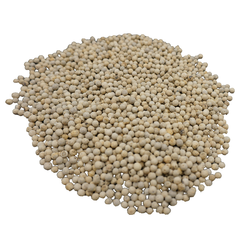 Raw Dried White Pepper Spice Reasonable Price Ingredients Fast Delivery Export Customized Packing Vietnam Manufacturer 6