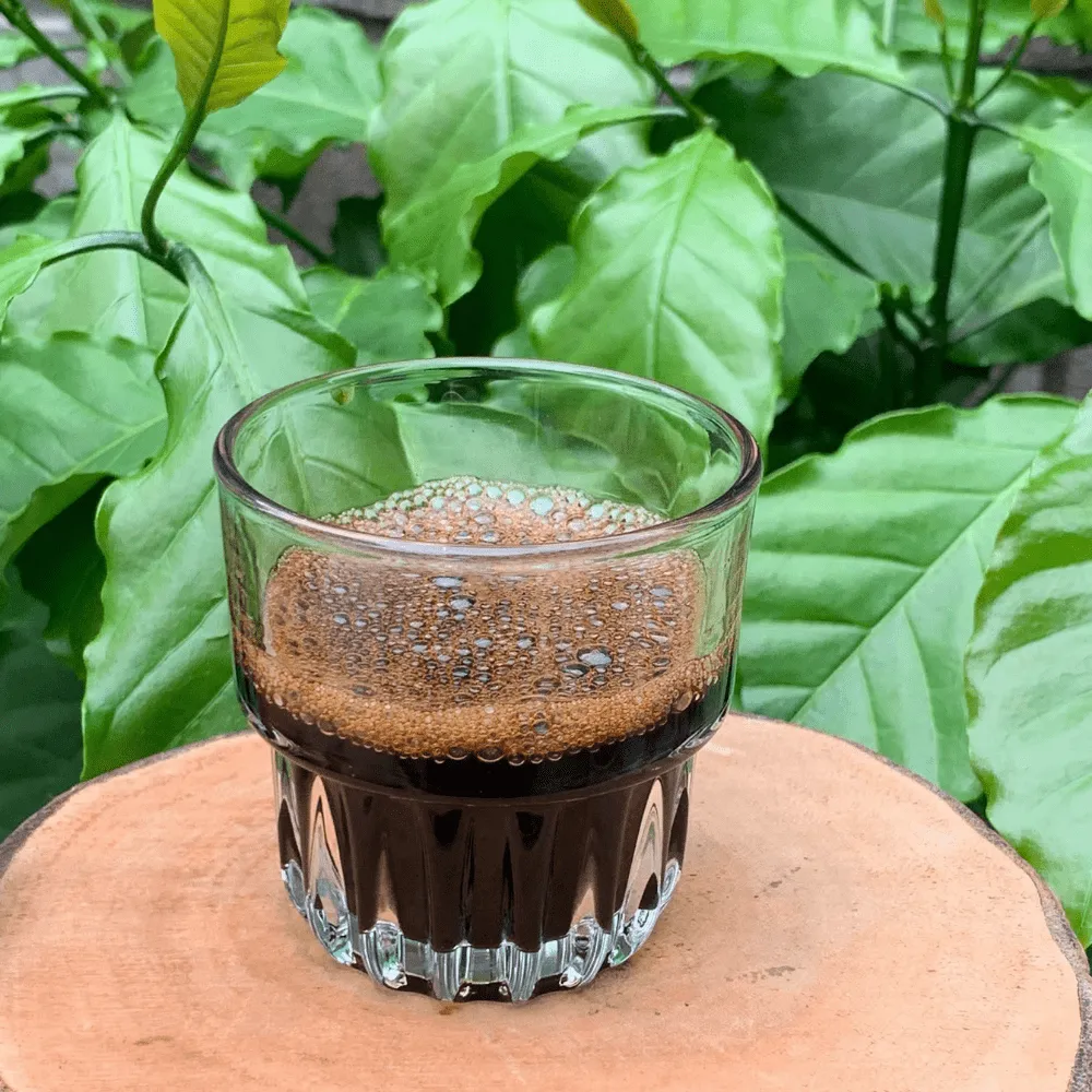 Experience the rich flavors of vietnam with Premium Vietnamese Robusta Dark Roast Coffee Beans 3