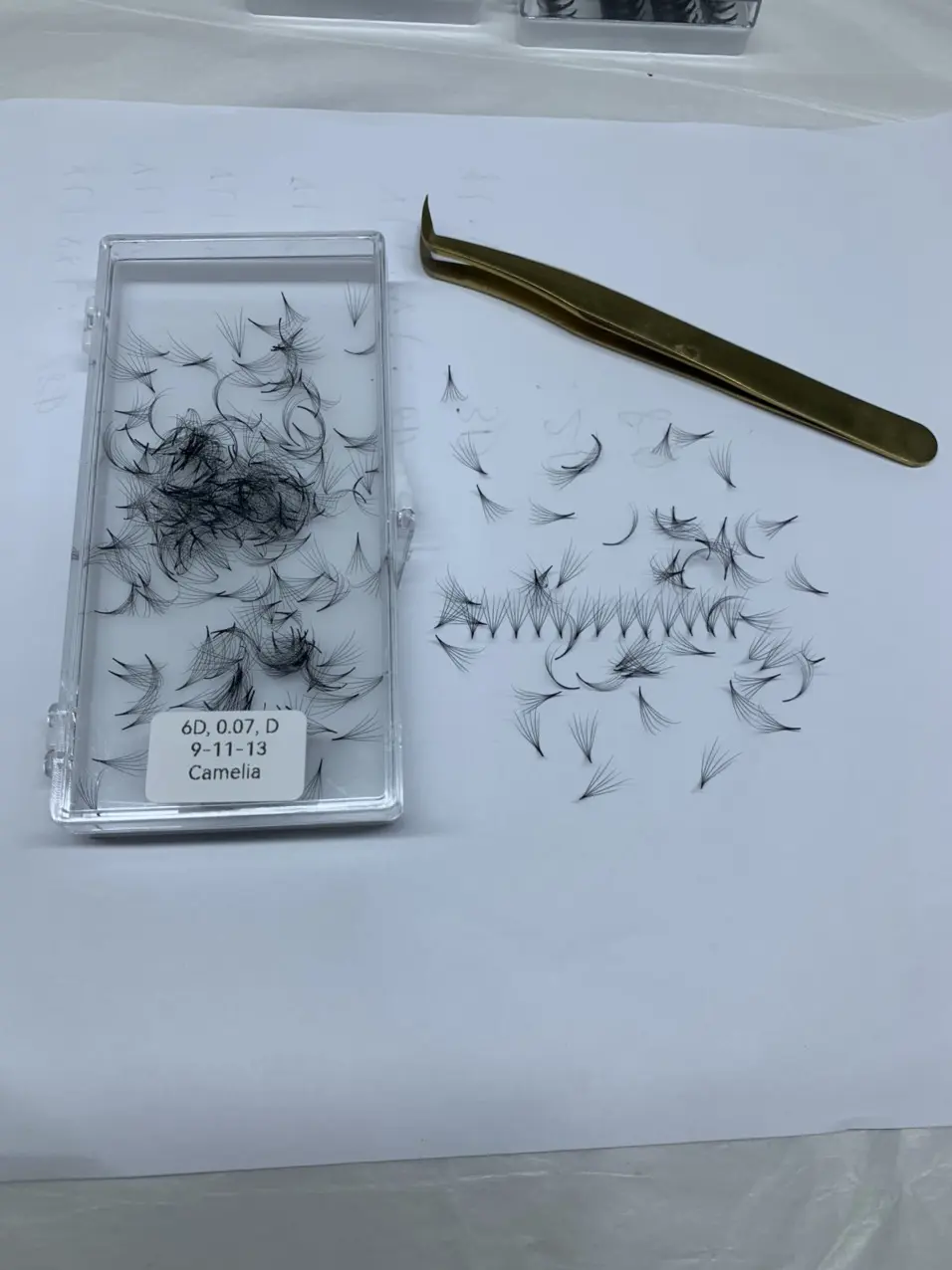 Fast Delivery Camellia loose line fans eyelashes Good choice No Irritation using for beauty pack in tray or box from Vietnam Manufacturer 8