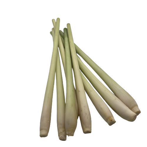 Lemongrass High Quality with HACCP Certificate Free Tax - Spices and Herbs Lemon Grass Best Price From VietNam 1