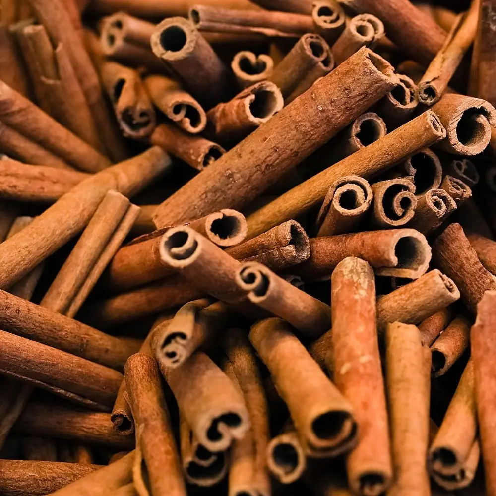 Finger Cassia (Cigarette Cassia) - Premium Cinnamon Sticks for Flavoring, Infusions & Culinary Uses | Rich Aroma & Quality 5