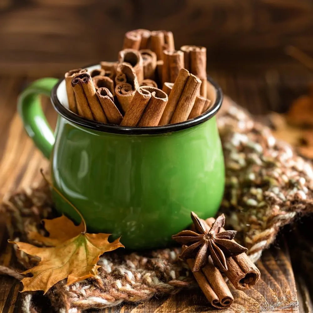 Finger Cassia (Cigarette Cassia) - Premium Cinnamon Sticks for Flavoring, Infusions & Culinary Uses | Rich Aroma & Quality 6