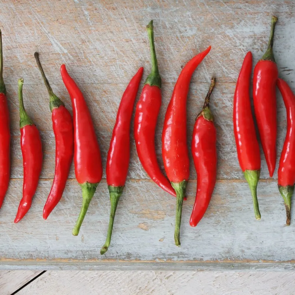 Fresh Chili Peppers - Nutrient-Rich Spice for Flavor Enhancement | Packed with Vitamins, Protein & Fiber for Healthy Dishes 5